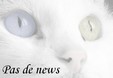 Pas de nouveaux messages Pas de nouveaux messages