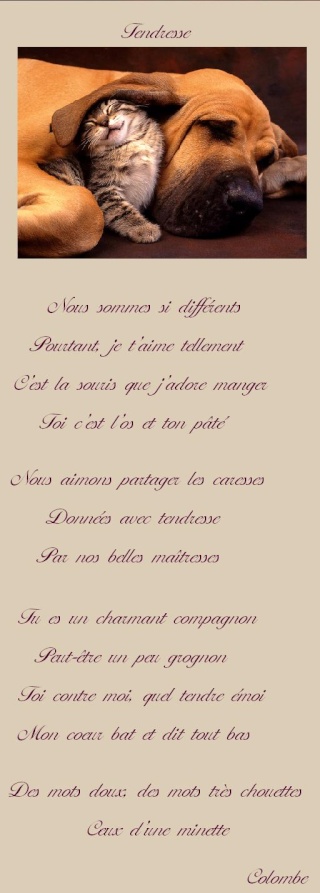 Image hébergée par servimg.com