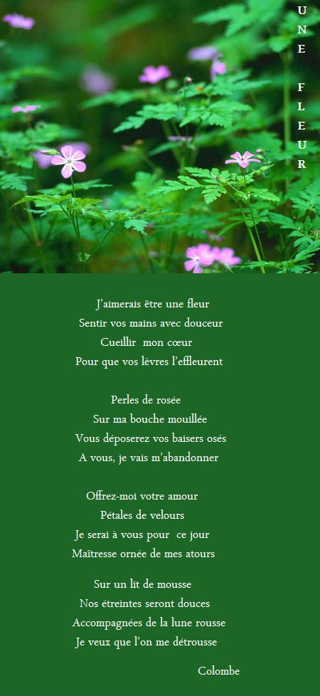 Image hébergée par servimg.com