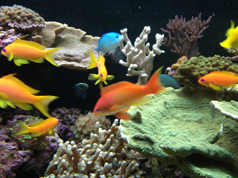 img_0834.jpg
