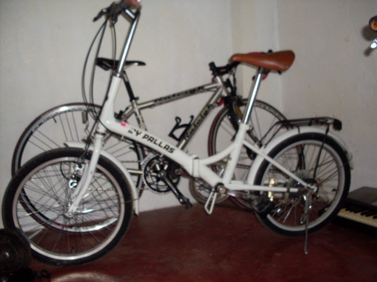 my pallas bicycle