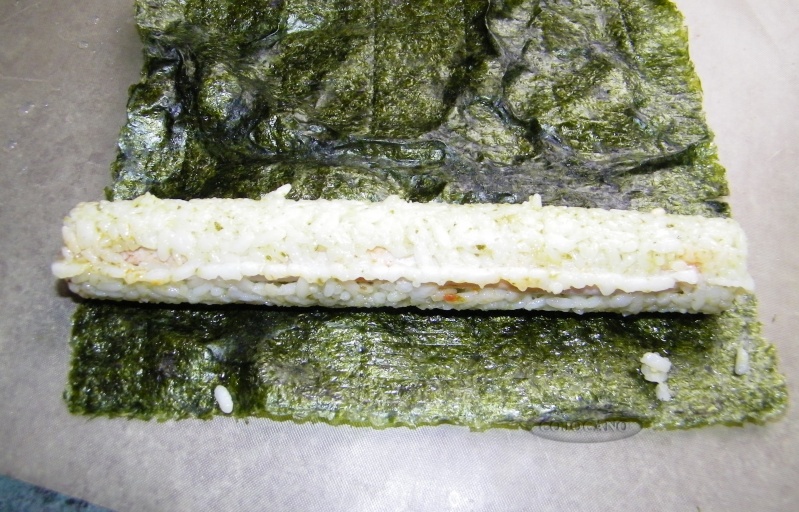 http://i49.servimg.com/u/f49/11/69/53/34/101_4015.jpg