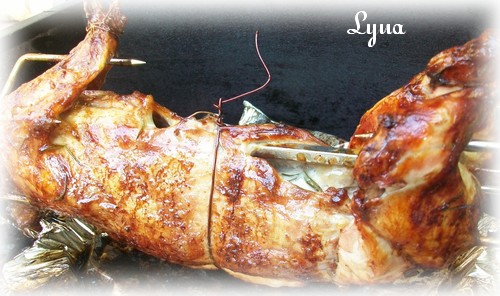 Lapin Sur Tourne-broche Bbq