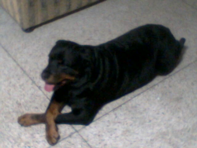 Imagem