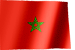 لا مساهمات جديدة لا مساهمات جديدة