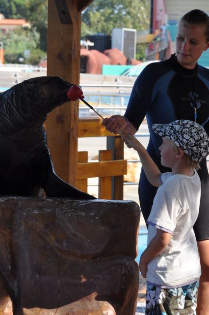 rencontre otarie marineland Rencontres serieuses 49, rencontre tiilt, iookaz rencontre, rencontre paul mccartney. rencontre otarie marineland Rencontres serieuses 49, rencontre tiilt, iookaz rencontre, rencontre paul mccartney.