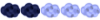 Lieutenant Lieutenant