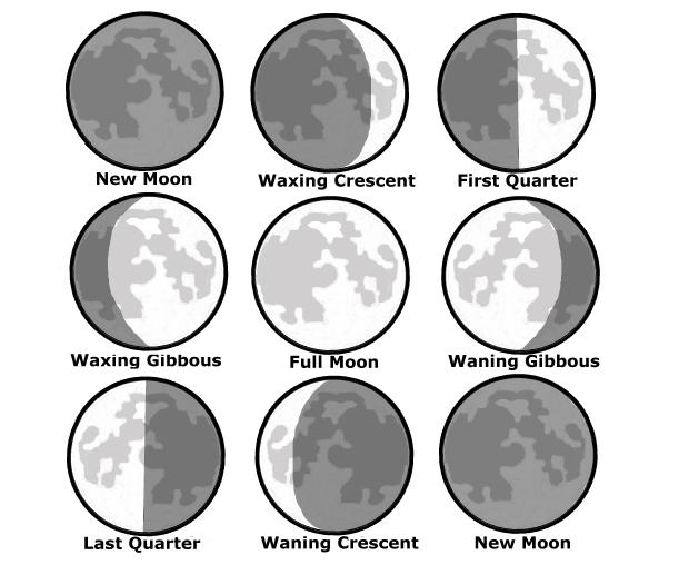 Lunar Phase Chart