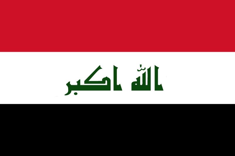 flag2010.jpg