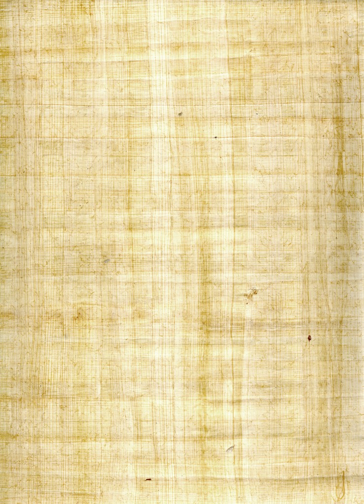 papyru11.jpg
