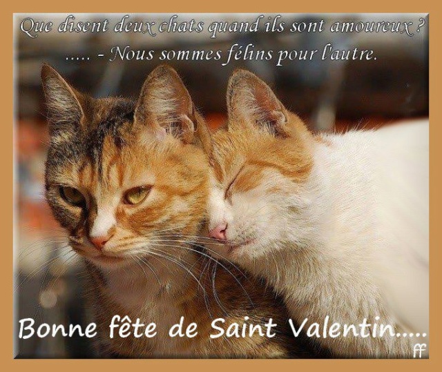 Joyeuse Saint Valentin Mon Coeur Bar De Gadget