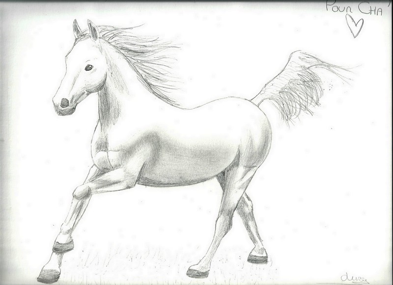 cheval11.jpg