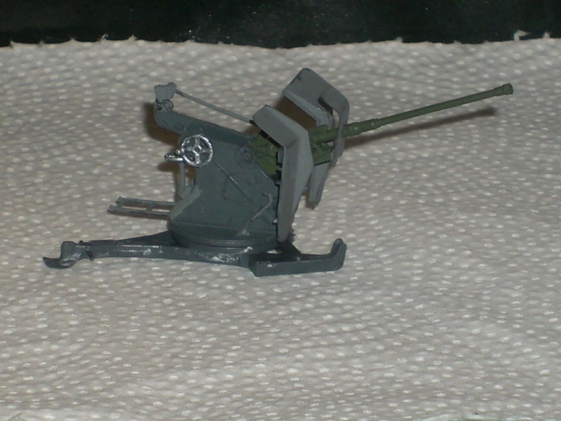 dsci1025.jpg