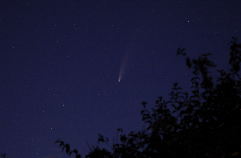 comet810.jpg