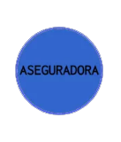 asegur10.png
